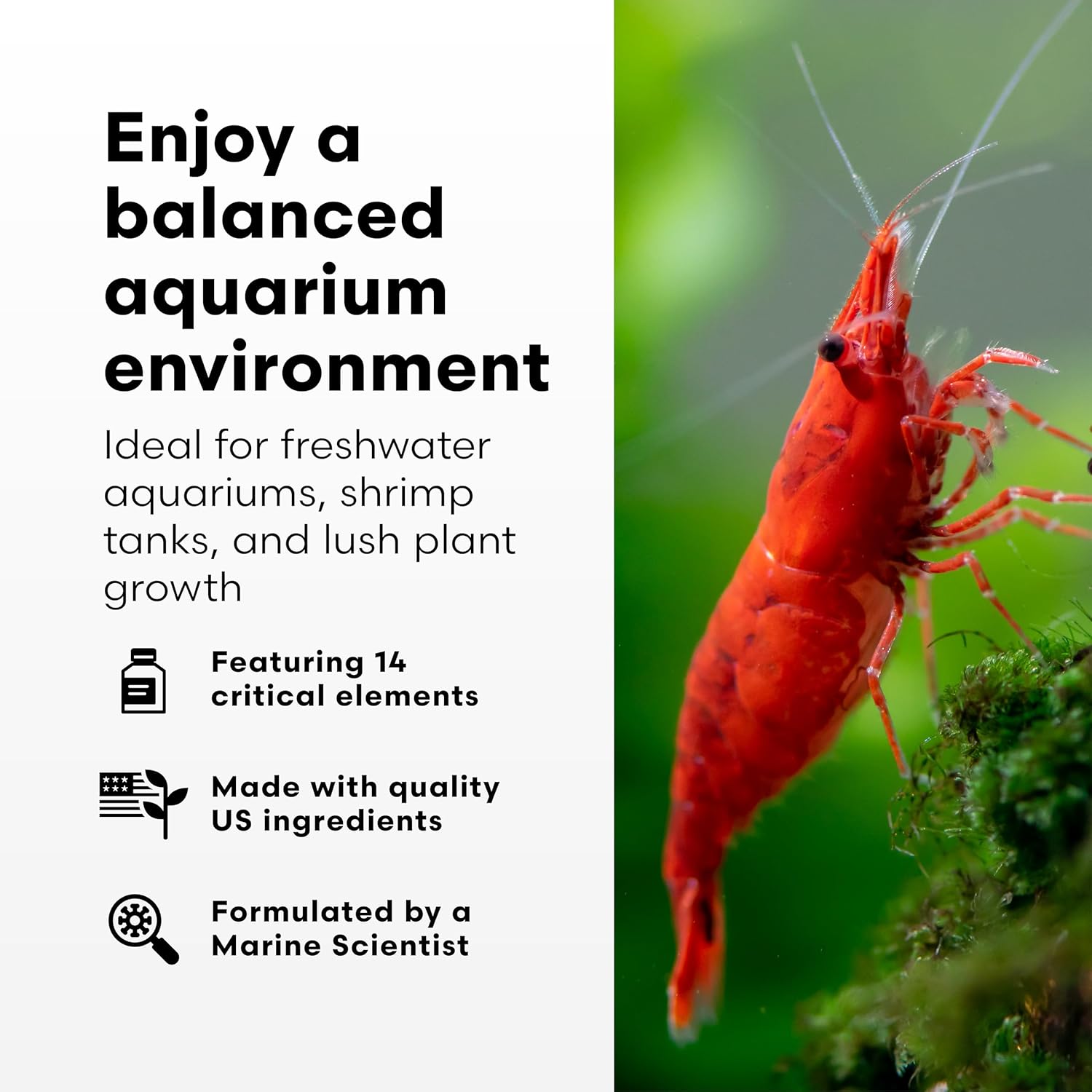 Brightwell Aquatics Plant Care Products (FNM250), 250-ml