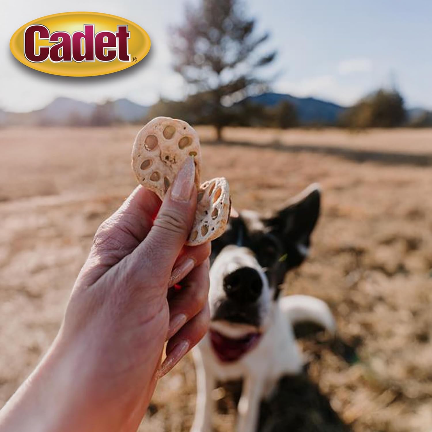 Cadet 10 pk Chicken N Veggie Crunchems Dog Treats & Chews