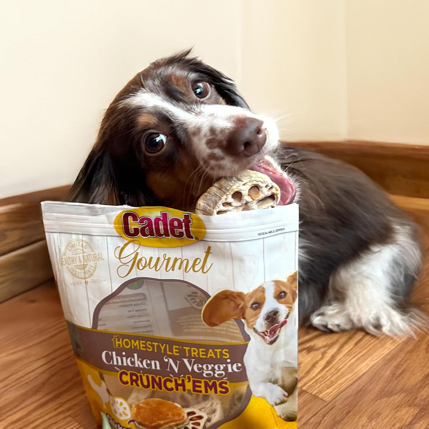 Cadet 10 pk Chicken N Veggie Crunchems Dog Treats & Chews