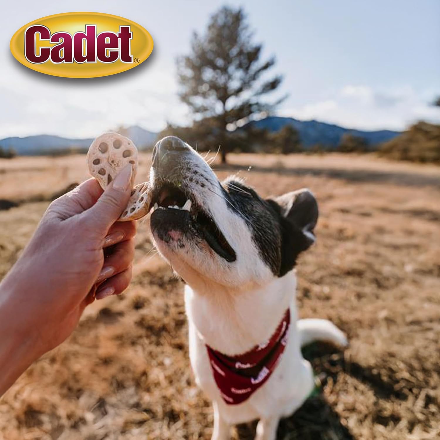 Cadet 10 pk Duck N Veggie Crunchems Dog Treats & Chews