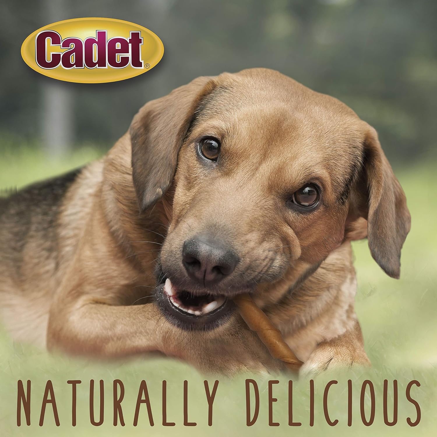 Cadet 10" Pork Roll Twist Dog Treats & Chews