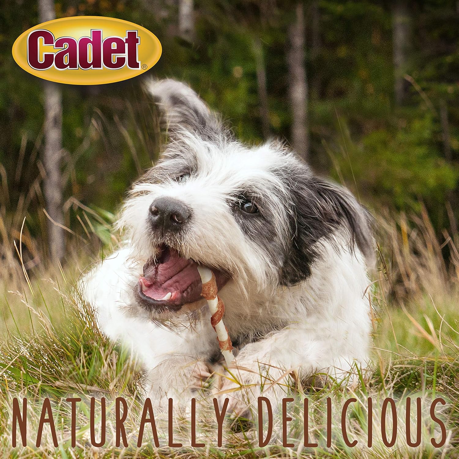 Cadet 14 pk. Beef Hide (Rawhide) and Chicken Twists Dog Treats & Chews