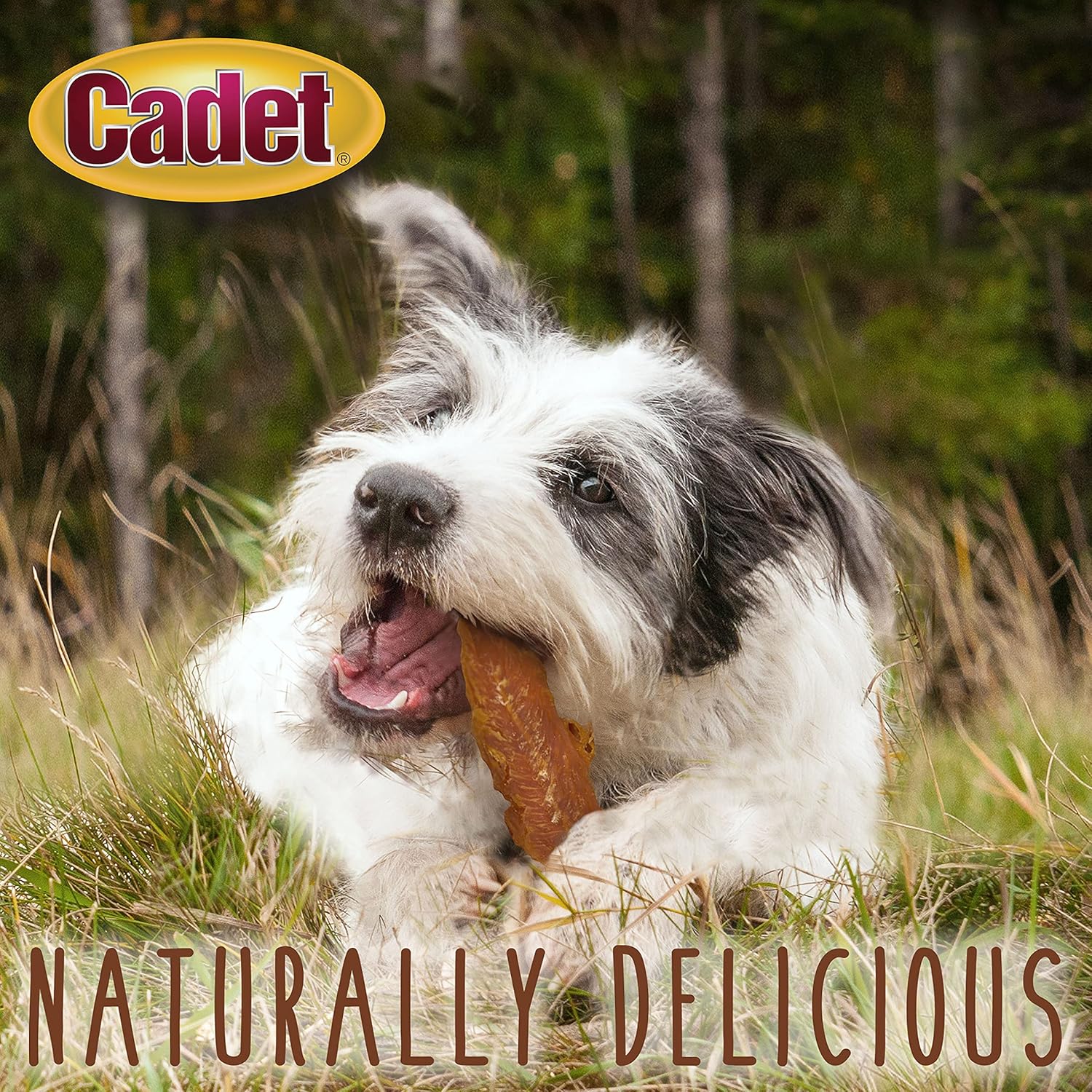 Cadet 3 oz. Chicken Breast Dog Treats & Chews