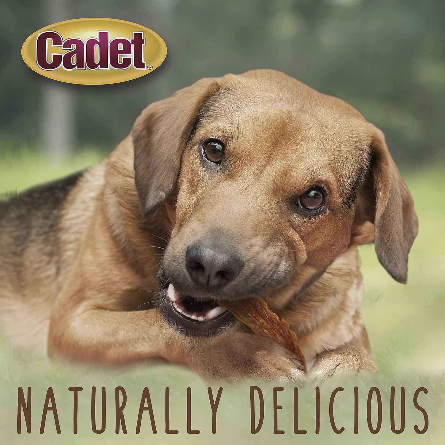Cadet 3 oz. Duck Breast Dog Treats & Chews