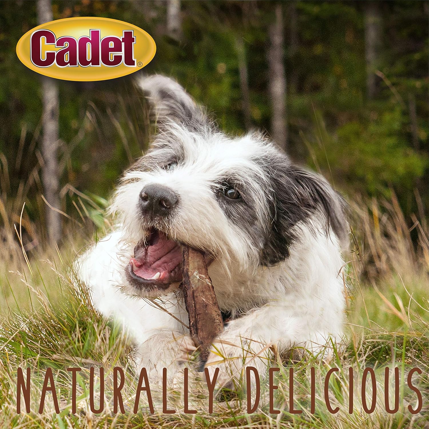 Cadet 3 pk. Rib Bone Dog Treats & Chews