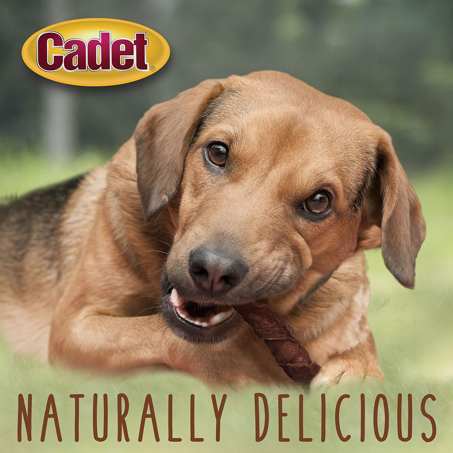 Cadet 6 pk. Duck & Apple Triple Chew Treat Dog Treats & Chews