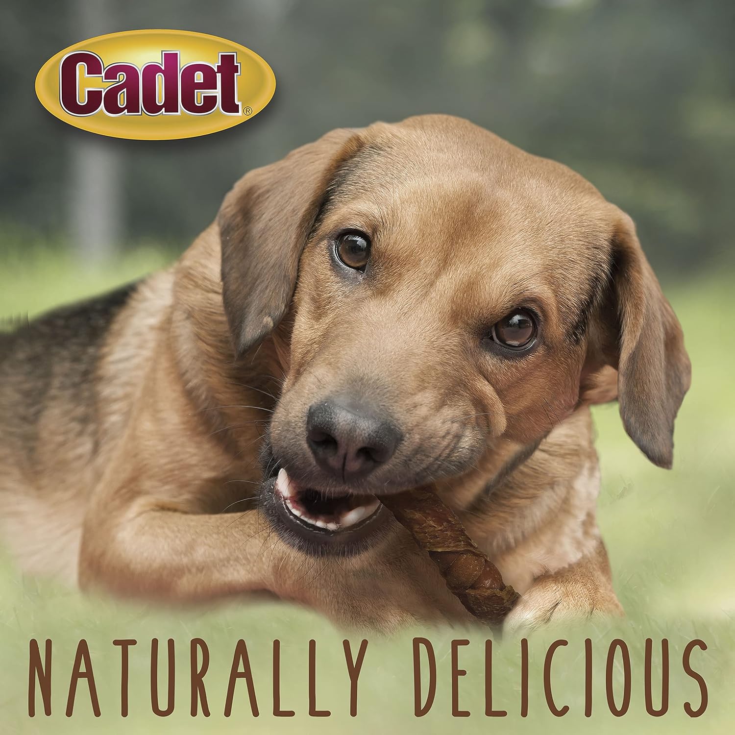 Cadet 6 pk. Duck & Sweet Potato Triple Chew Treat Dog Treats & Chews
