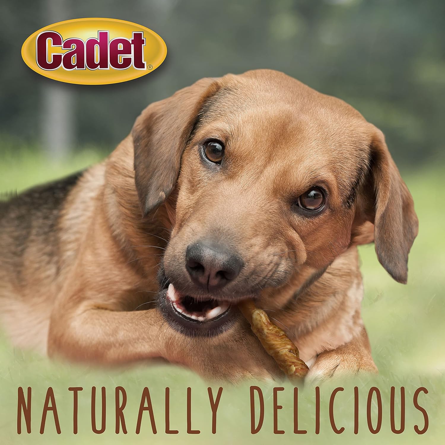 Cadet Pork Hide & Chicken Twists 22pk Dog Treats & Chews