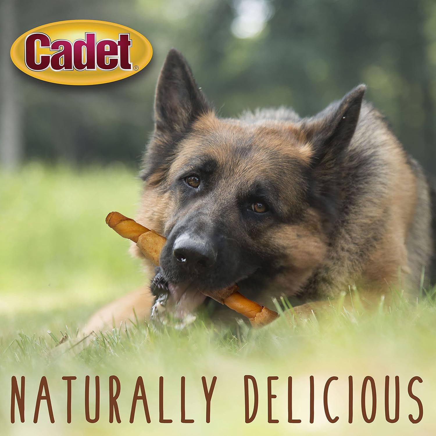 Cadet XL Pork Hide Shish Kabobs 4pk Dog Treats & Chews
