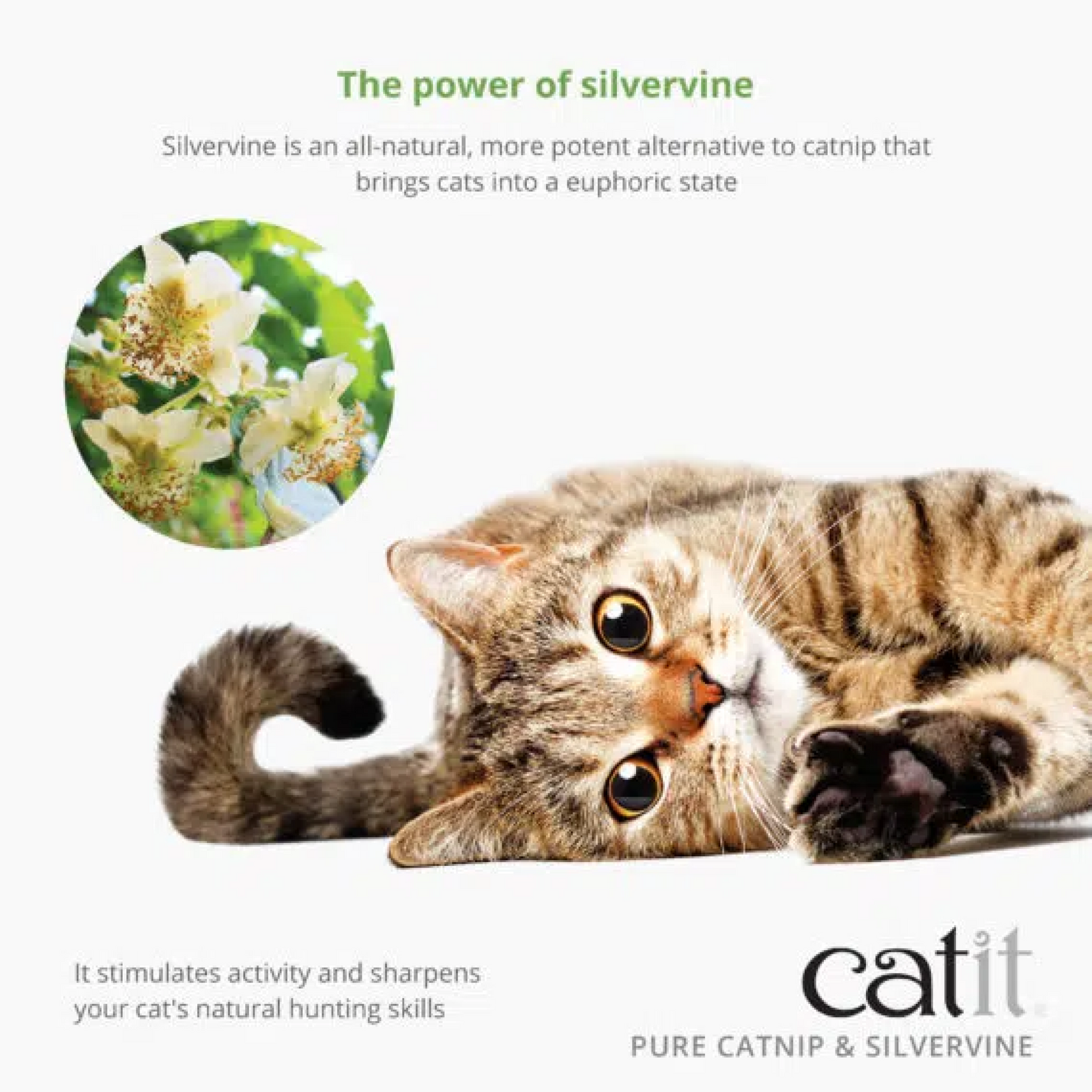 Catit Dried Catnip & Silvervine Mix 28g