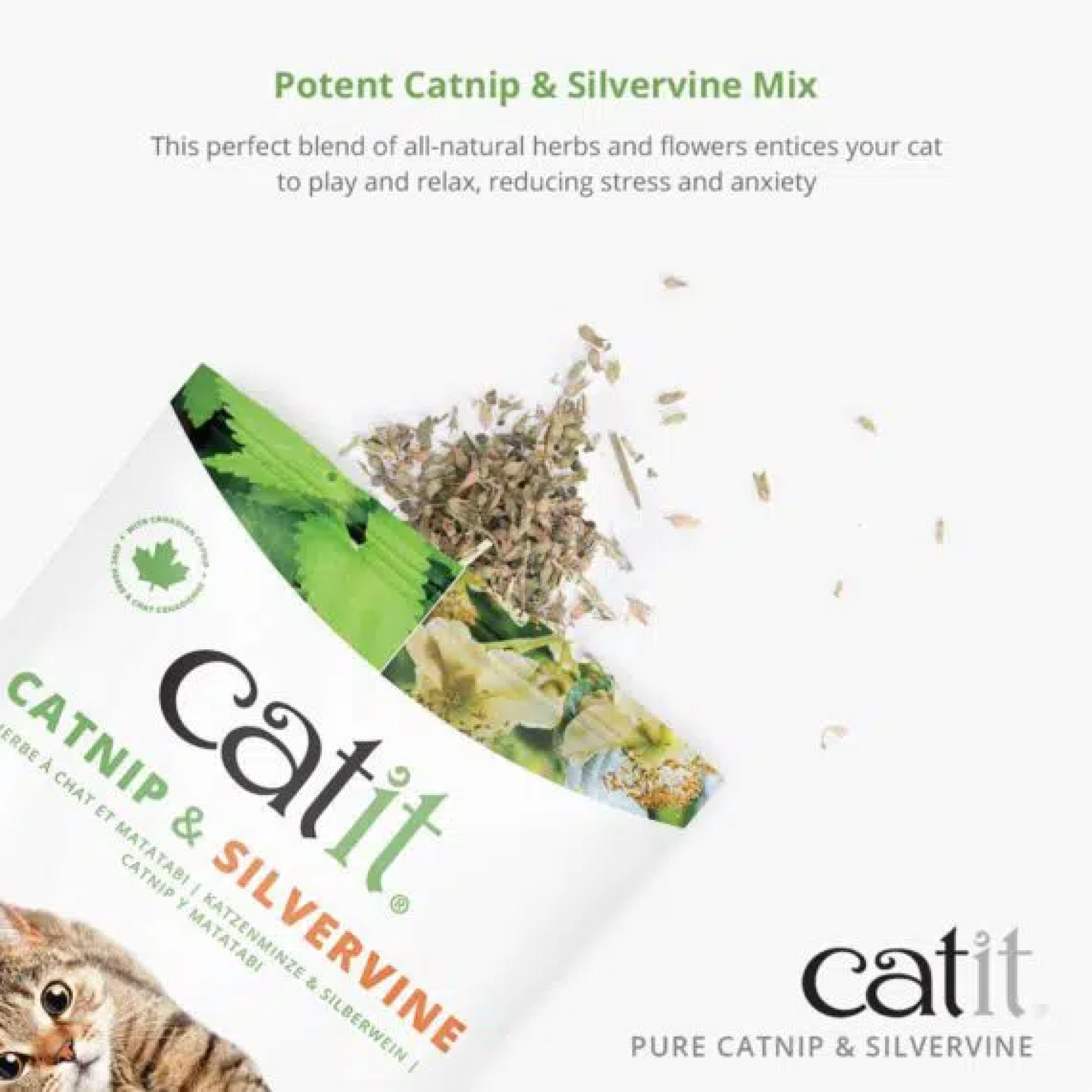 Catit Dried Catnip & Silvervine Mix 28g