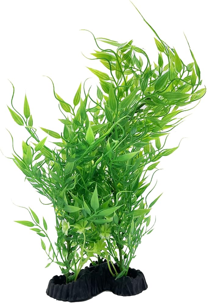 Chicos Bunch Aquatic Plants Series 8 x 12.5 Inch