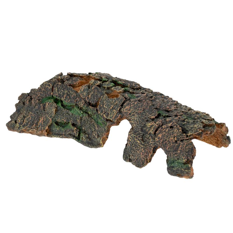 Chicos Tree Log