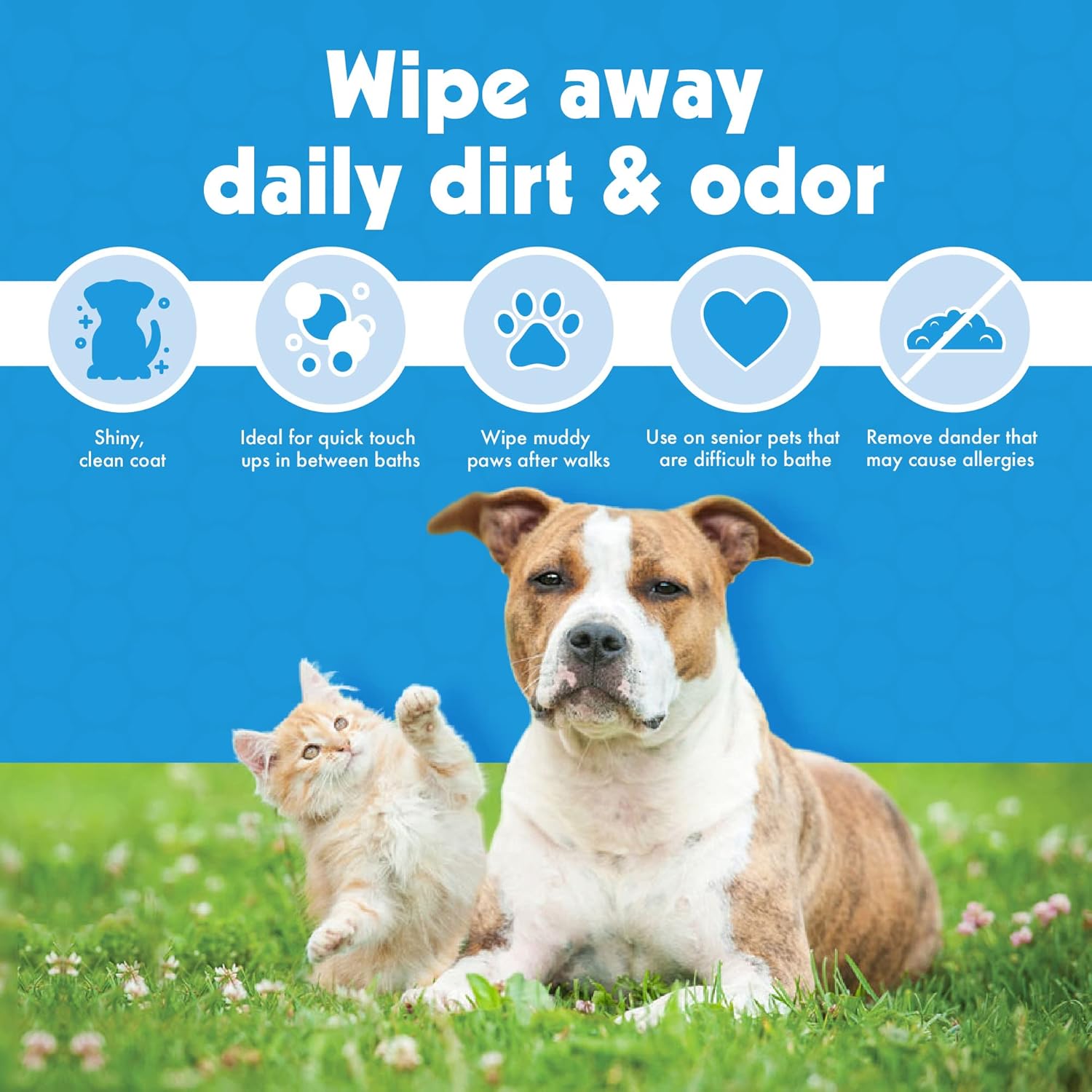 🏷️ CLEARANCE SALE | Petkin Extra Mega Valu Pet Wipes 200ct