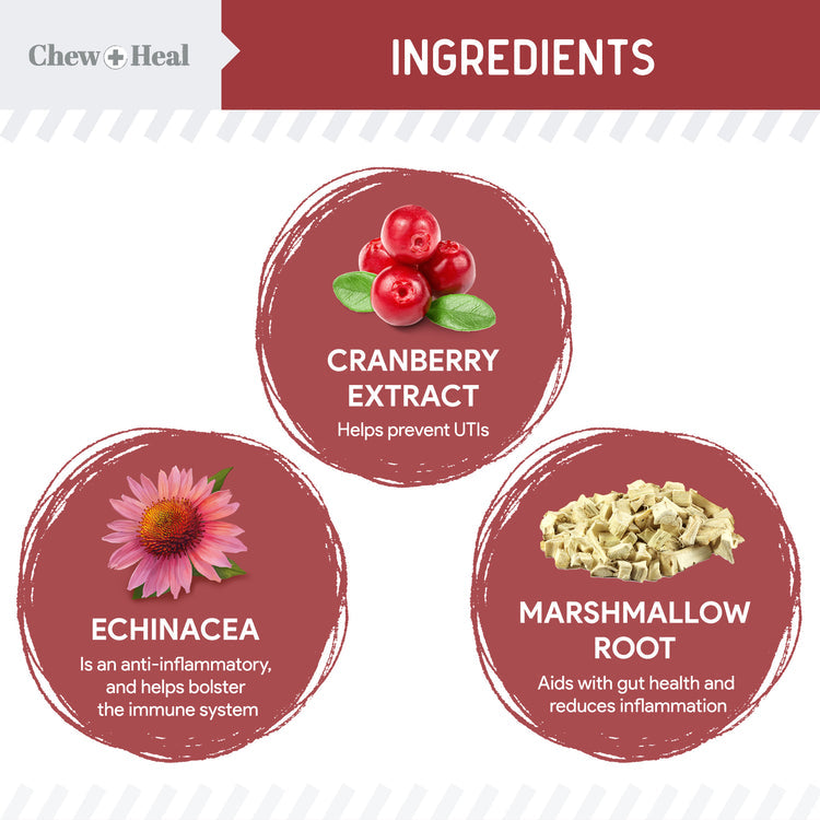 Chew & Heal - Cranberry Support Urinary Tract Supplement for Dogs - 250gm