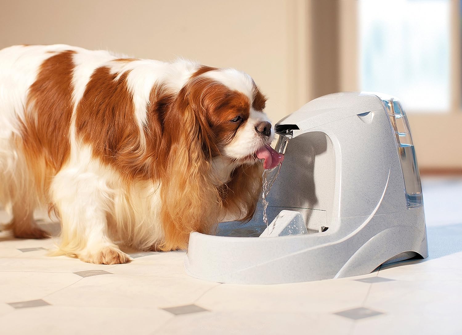 📦 DAMAGED BOX — 50% OFF | PetSafe Drinkwell Platinum Pet Fountain – 7.5L Automatic Flowing Water Fountain for Cats & Dogs UAE