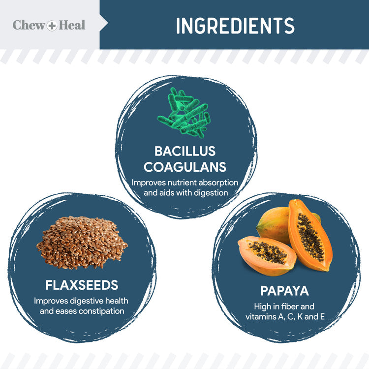 Chew & Heal - Digestive Enzymes & Probiotics Supplement for Dogs 120soft Chews - 250gm