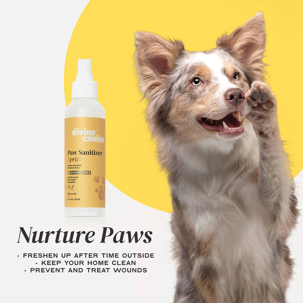 Divine Canine - Paw Sanitizer Spritz - 250g