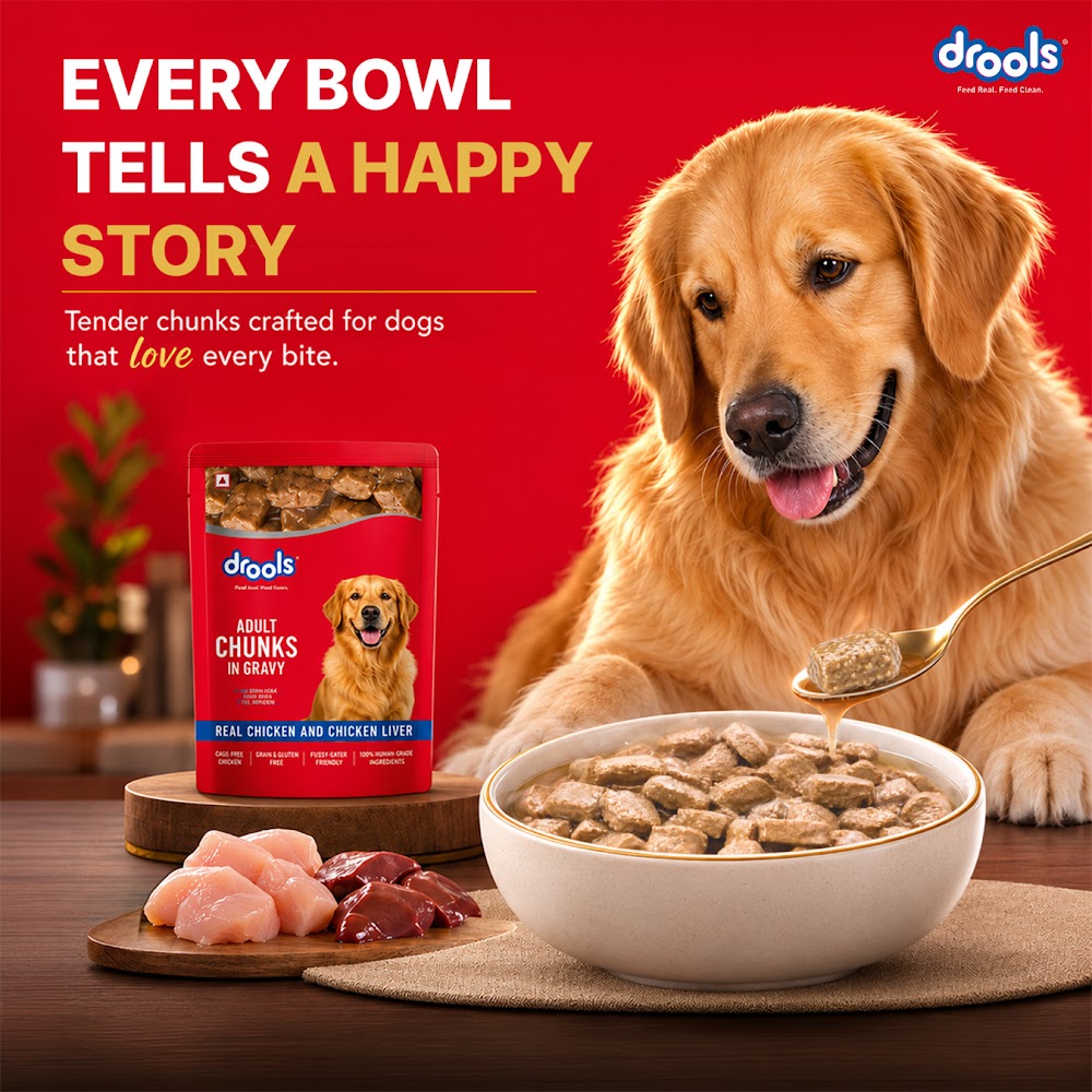 Drools Adult Wet Dog Food, Real Chicken and Chicken Liver Chunks in Gravy,10 Pouches + 2 Pouches Free (12 x 60g )