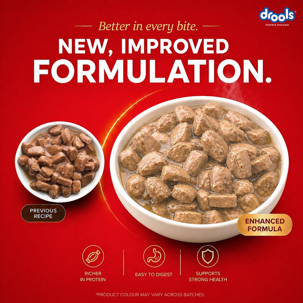Drools Adult Wet Dog Food, Real Chicken and Chicken Liver Chunks in Gravy,10 Pouches + 2 Pouches Free (12 x 60g )