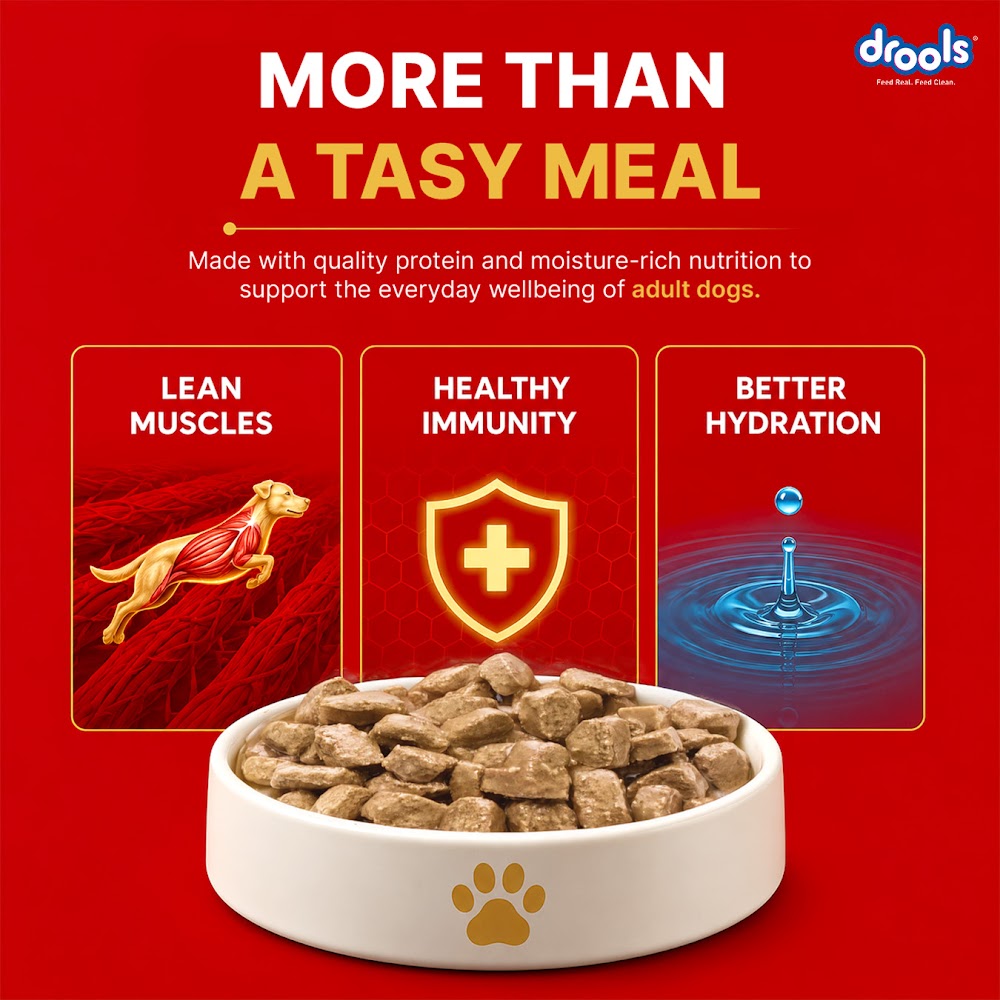 Drools Adult Wet Dog Food, Real Chicken and Chicken Liver Chunks in Gravy,10 Pouches + 2 Pouches Free (12 x 60g )