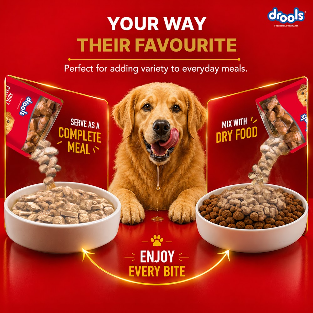 Drools Adult Wet Dog Food, Real Chicken and Chicken Liver Chunks in Gravy,10 Pouches + 2 Pouches Free (12 x 60g )