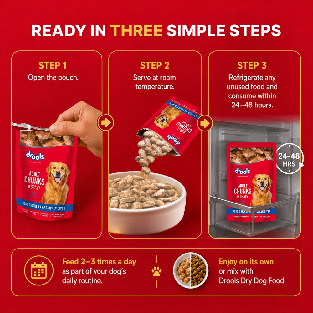 Drools Adult Wet Dog Food, Real Chicken and Chicken Liver Chunks in Gravy,10 Pouches + 2 Pouches Free (12 x 60g )