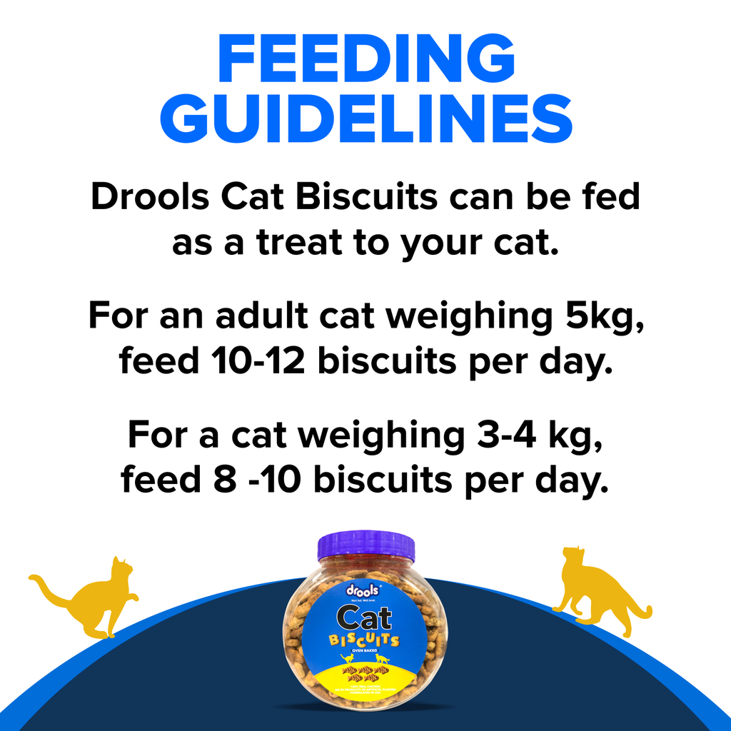 Drools Cat Biscuit 400gm