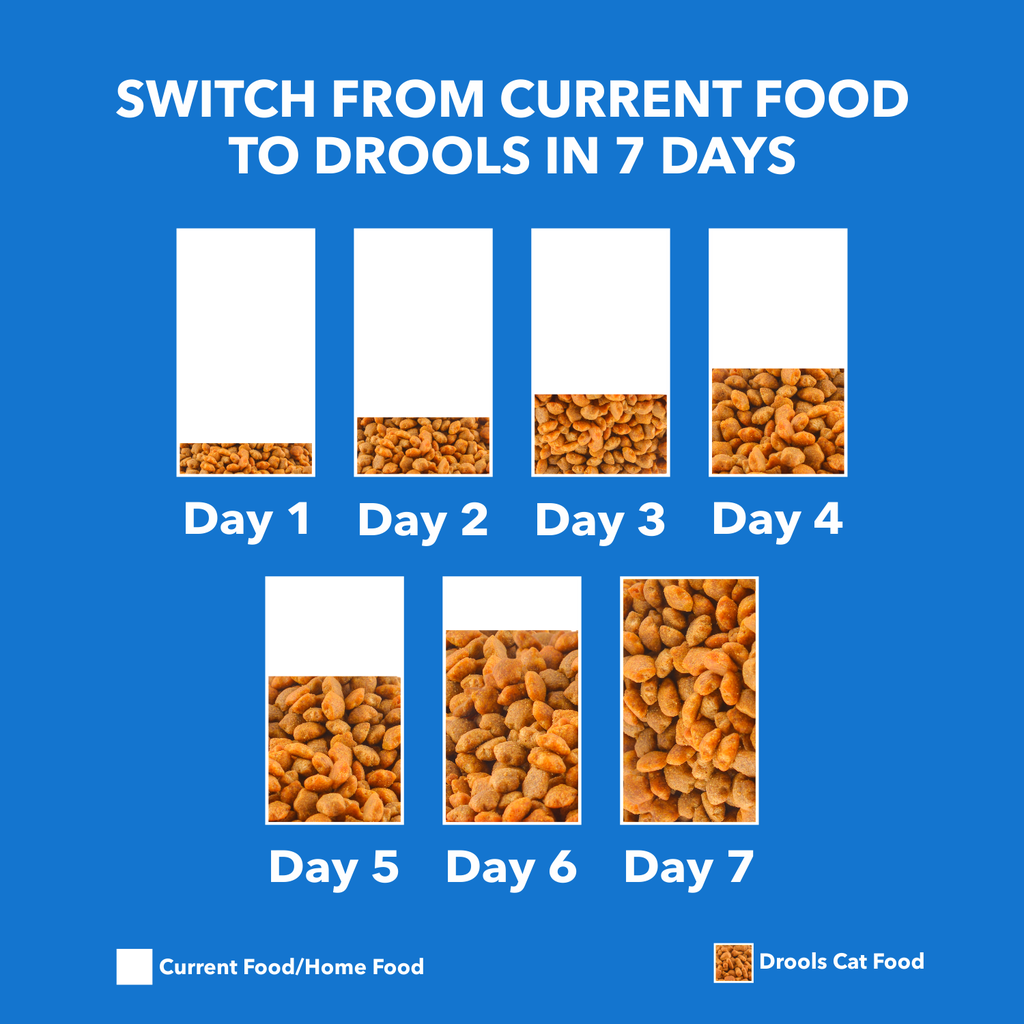 Drools Cat Chicken Dry Food 1.2kg