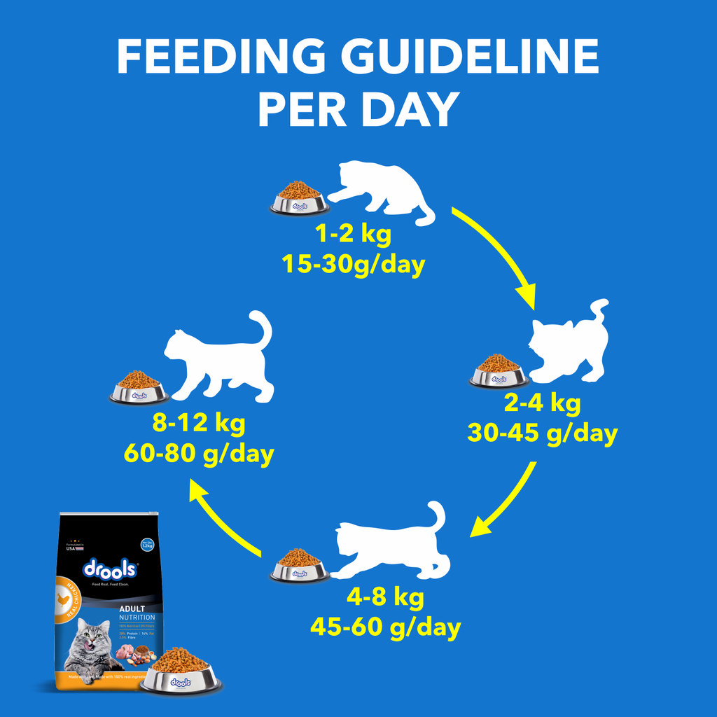 Drools Cat Chicken Dry Food 1.2kg