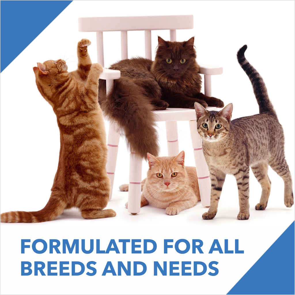 Drools Cat Mackerel Dry Food 1.2kg