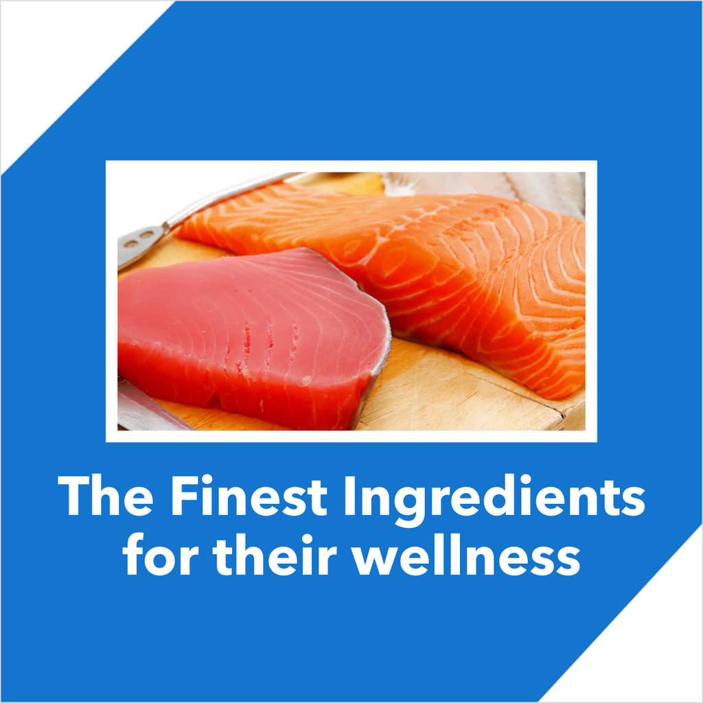 Drools Cat Mackerel Dry Food 1.2kg