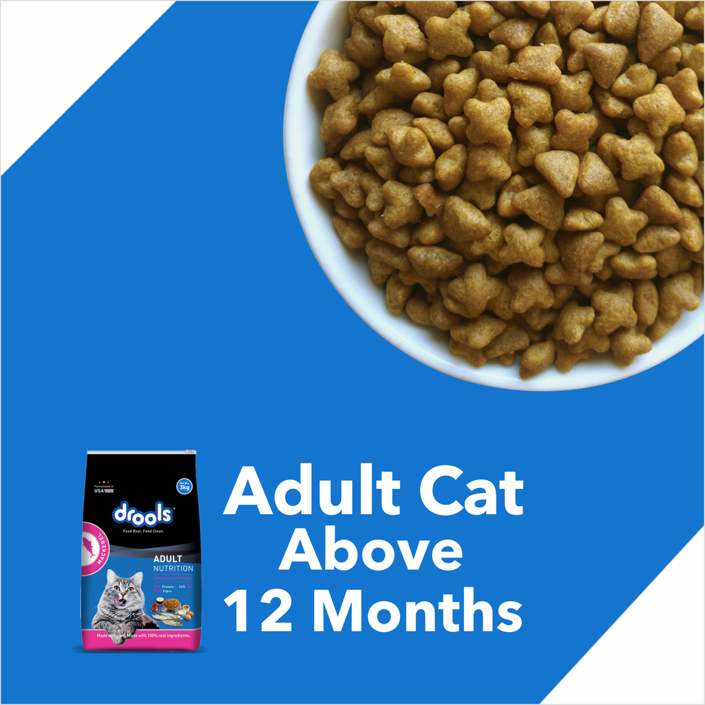 Drools Cat Mackerel Dry Food 1.2kg
