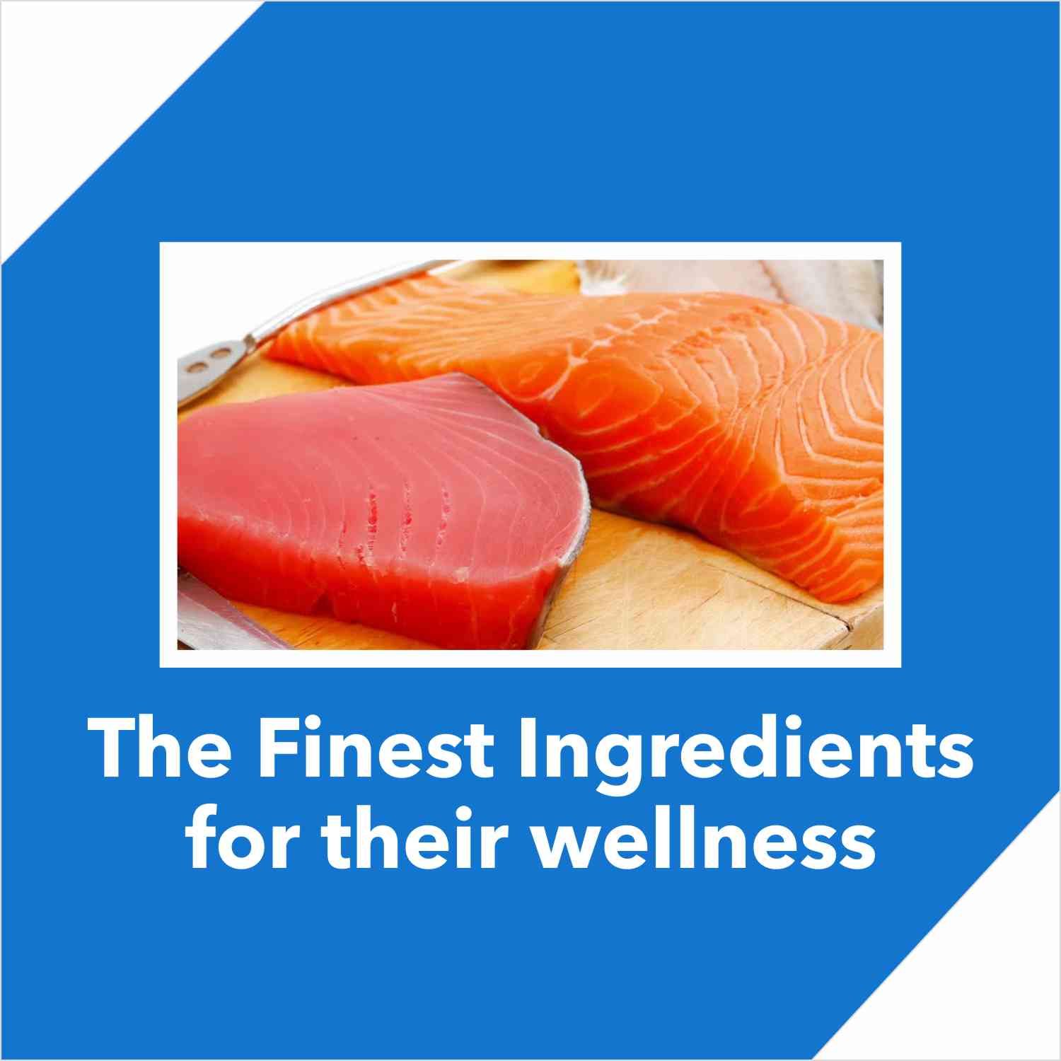 Drools Cat Tuna and Salmon 7kg