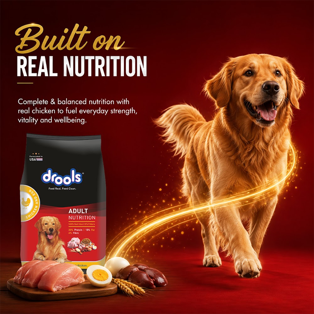 Drools Chicken and Egg Adult Dog Food, 1.2kg