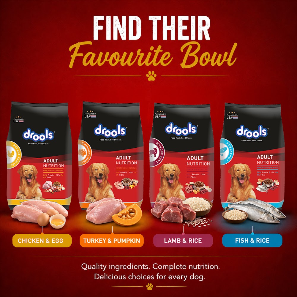 Drools Chicken and Egg Adult Dry Dog Food, 10kg