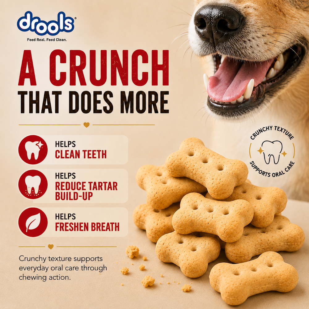 Drools Chicken and Egg Biscuit 800g