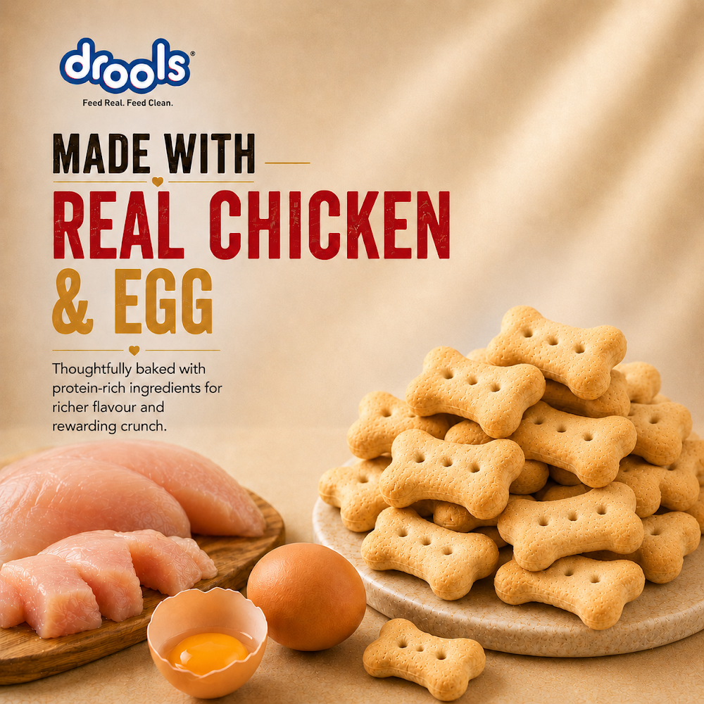 Drools Chicken and Egg Biscuit 800g