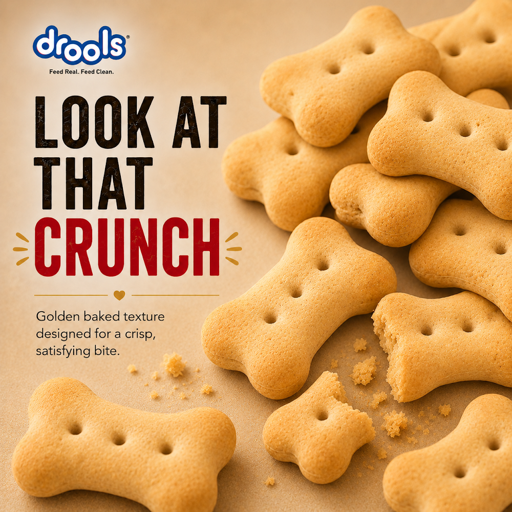 Drools Chicken and Egg Biscuit 800g