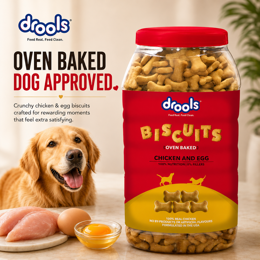 Drools Chicken and Egg Biscuit 800g
