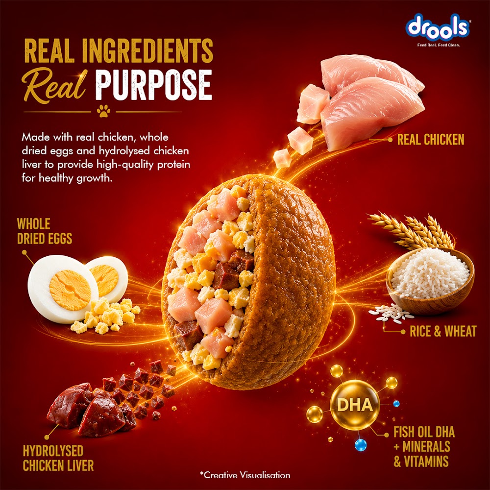 Drools Chicken and Egg Puppy Dog Food, 1.2kg