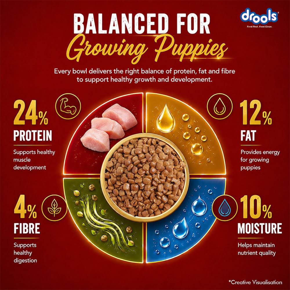 Drools Chicken and Egg Puppy Dog Food, 1.2kg
