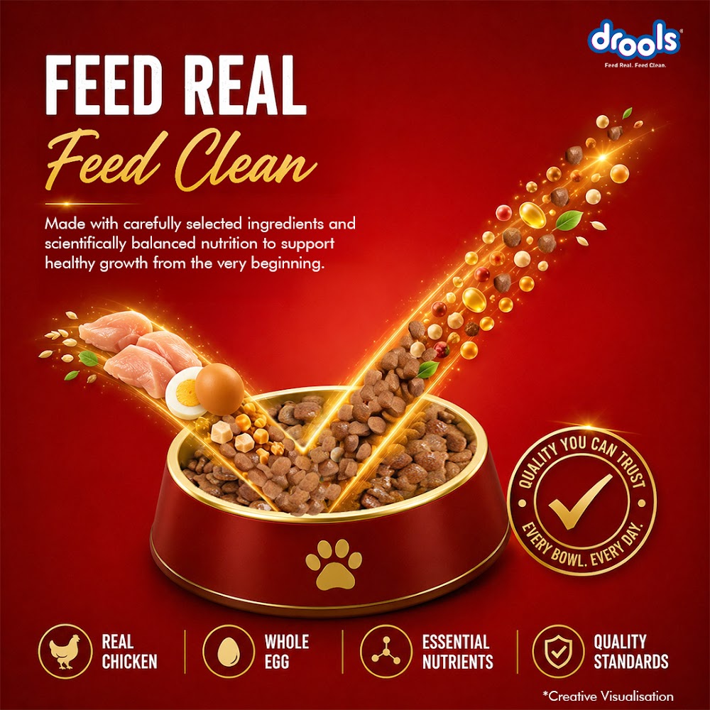 Drools Chicken and Egg Puppy Dog Food, 1.2kg