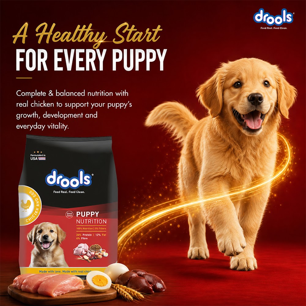 Drools Chicken and Egg Puppy Dog Food, 1.2kg