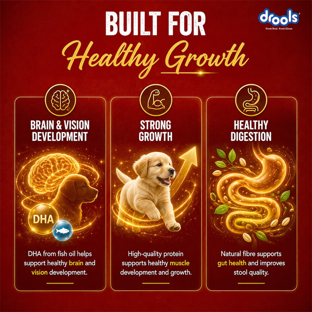 Drools Chicken and Egg Puppy Dog Food, 1.2kg