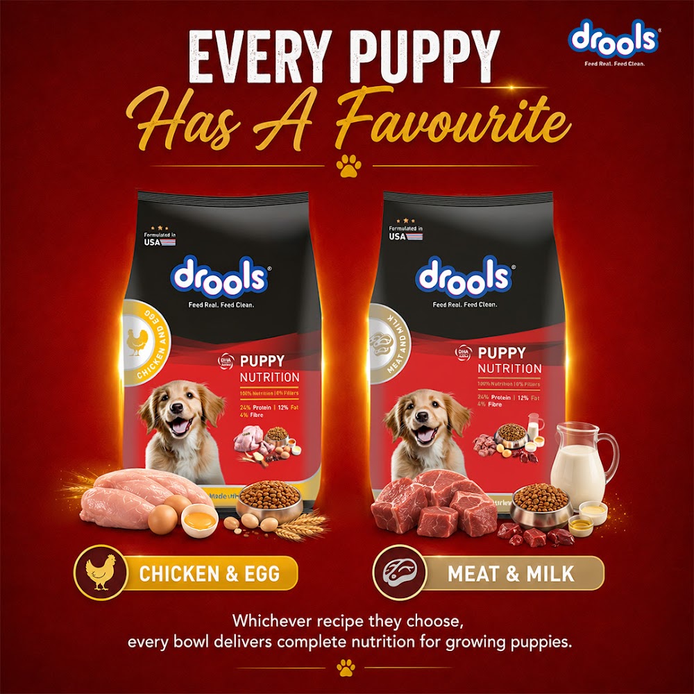 Drools Chicken and Egg Puppy Dry Dog Food, 10kg