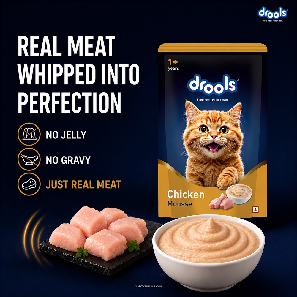 Drools Chicken Mousse Cat 80gm (5+1) Pc
