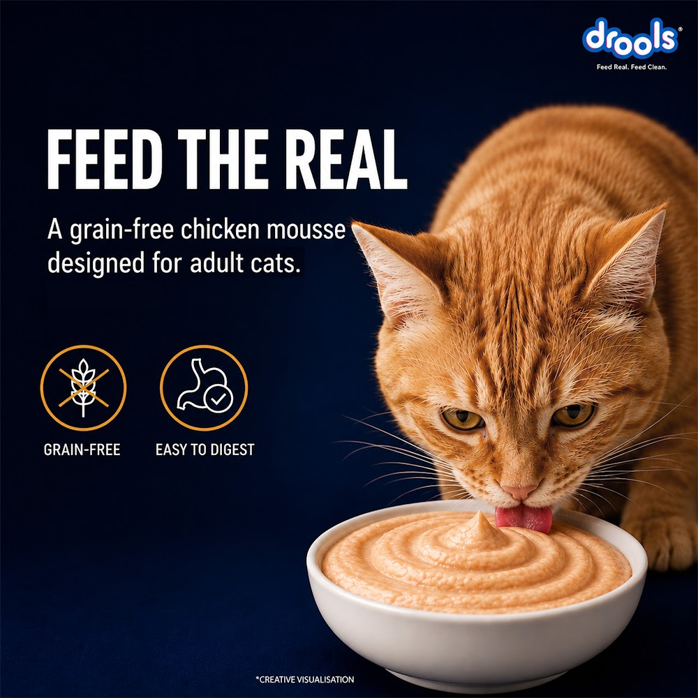 Drools Chicken Mousse Cat 80gm (5+1) Pc