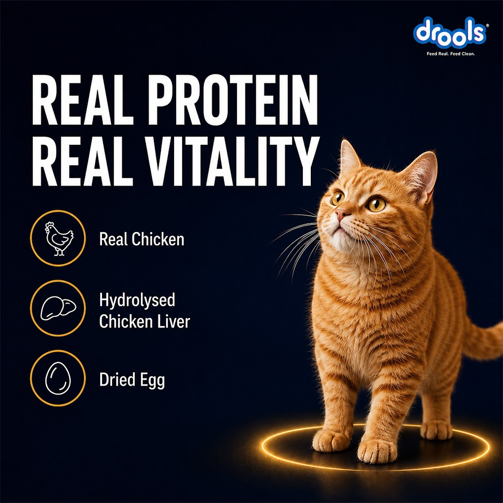 Drools Chicken Mousse Cat 80gm (5+1) Pc