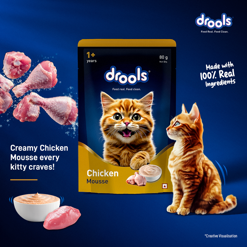 Drools Chicken Mousse Cat Wet Food 80gm